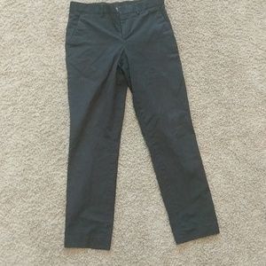 Express Photographer Dress Pants